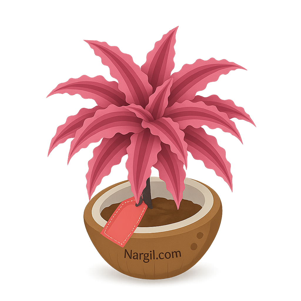  Nargil - Earth Stars